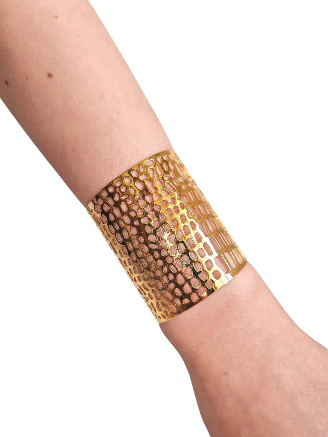 Bracciale rigido Reptilia