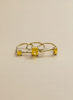 Anello Unione