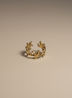 Anello Shell