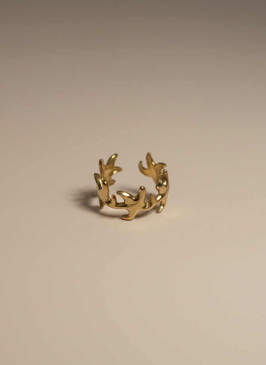 Anello Shell