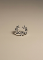 Anello Shell