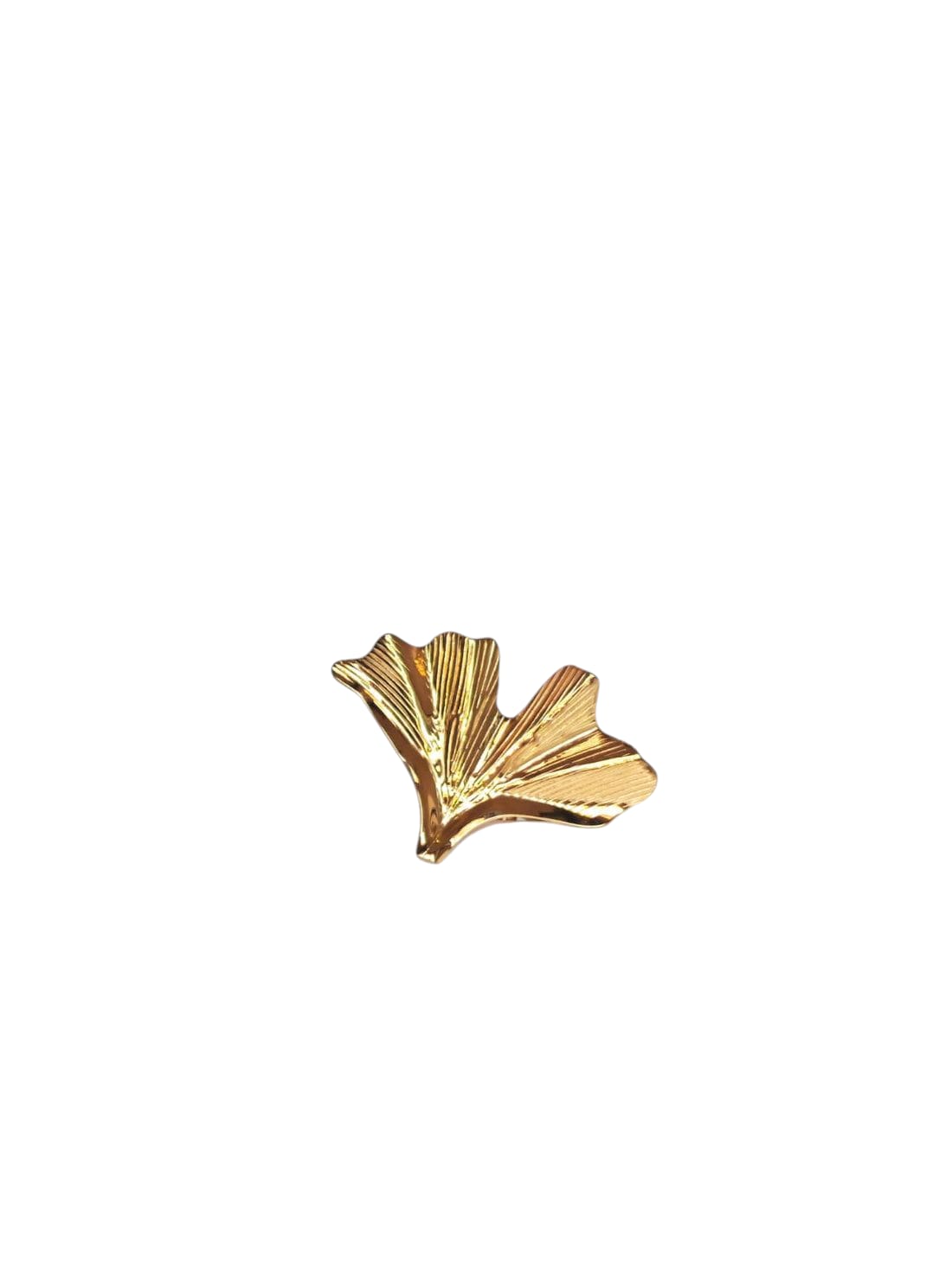 Anello Neptunia