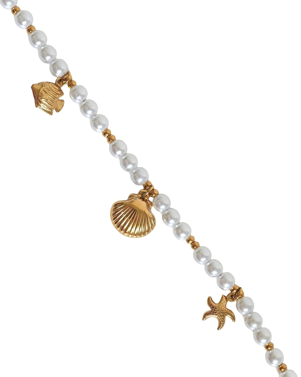 Cavigliera Shell