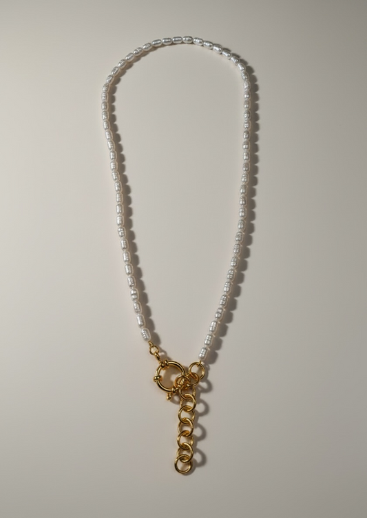 Collana Nettuno