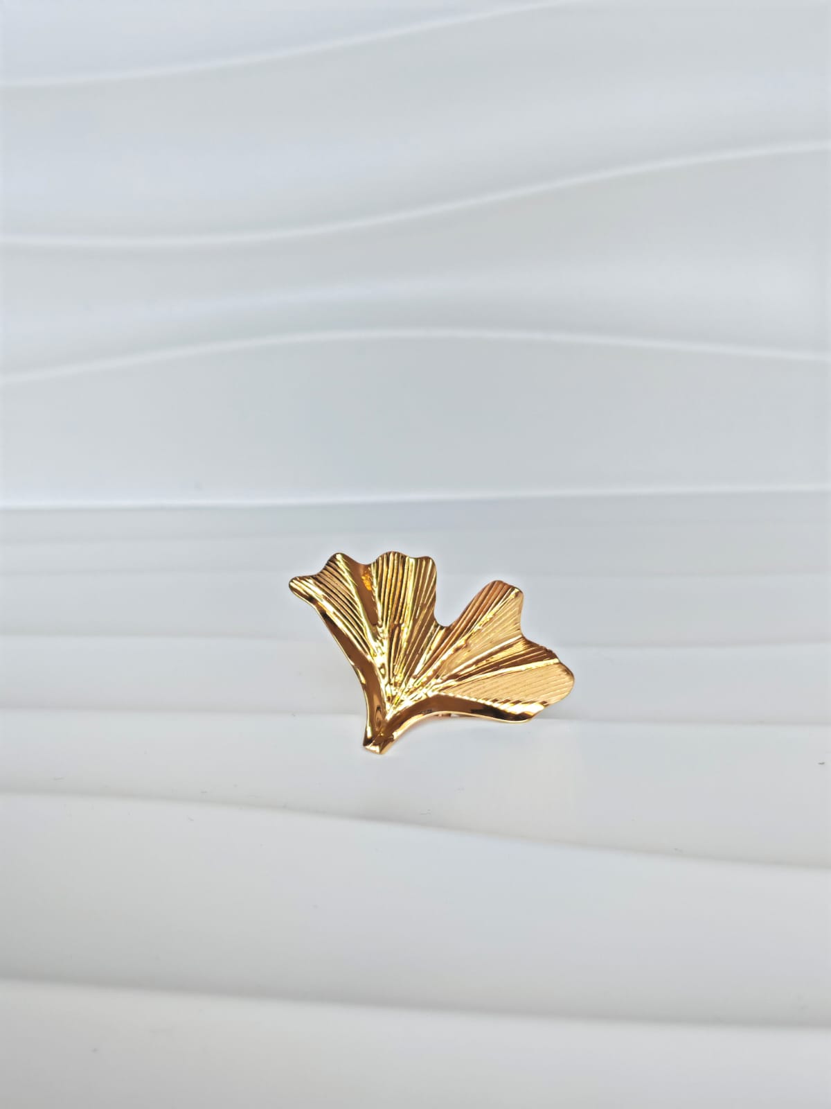 Anello Neptunia