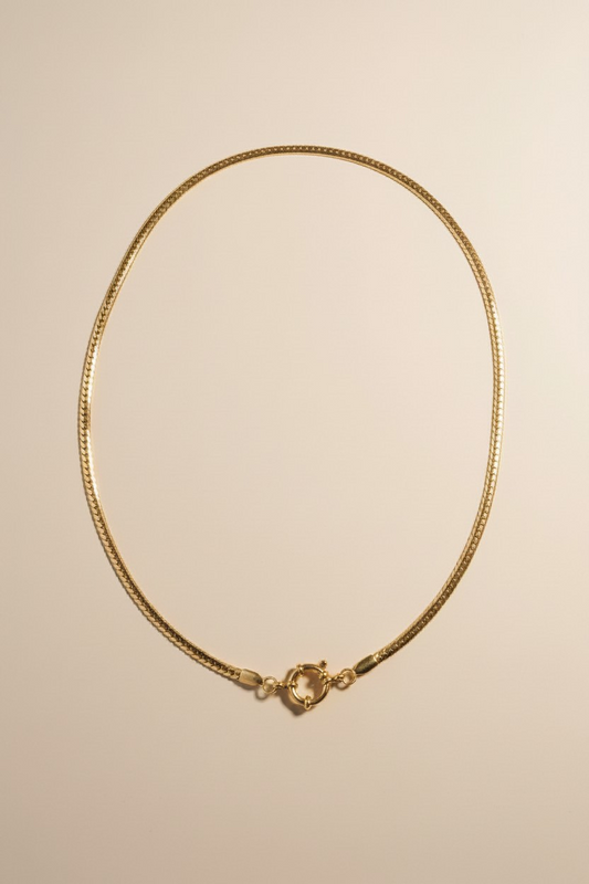 Collana Neptunia